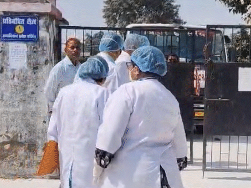 Patna Chickens Culled Amid Bird Flu Scare; Bihar Zoo on Alert