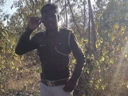 युवकों ने फॉरेस्ट गार्ड को पीटा, नचाया और वीडियो सोशल मीडिया पर वायरल किया। - Dainik Bhaskar