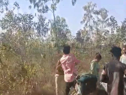 2 युवकों ने गर्लफ्रेंड के सामने बेल्ट से फॉरेस्ट गार्ड को जमकर पीटा।