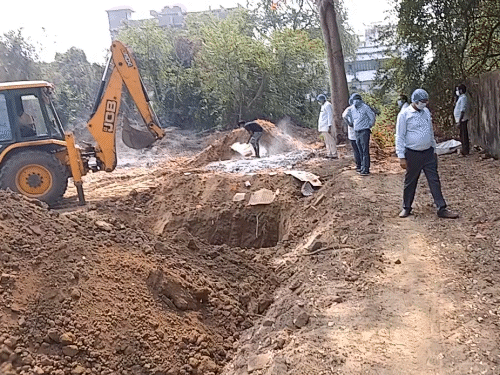 Patna Chickens Culled Amid Bird Flu Scare; Bihar Zoo on Alert