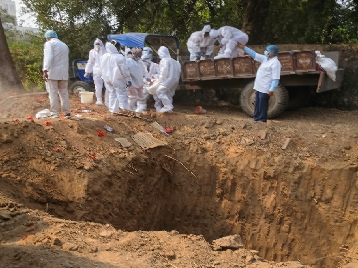 Bird flu in 6000 chickens at Patna government poultry farm