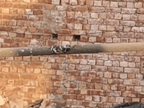 कुरुक्षेत्र में करंट लगने से बच्चे की मौत:  हाई-वोल्टेज तार पर बैठे कबूतर को उड़ाते वक्त हादसा, तेज धमाका होने से सहमे लोग – Kurukshetra News