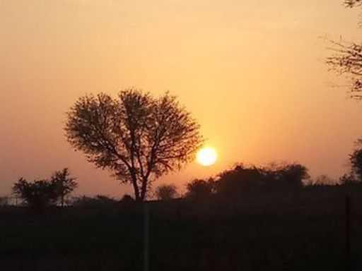 सीकर में शनिवार सुबह मौसम साफ रहा। मौसम विशेषज्ञों की मानें तो सीकर में तीन से चार दिन मौसम ड्राई रहने वाला है।