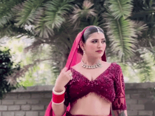 पायल परम ने टिकटॉक से अपने करियर की शुरुआत की थी। उसकी पहली वायरल रील पर 5 लाख व्यूज मिले थे।