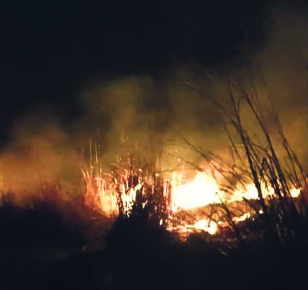 Fire broke out in huts along the Banganga River, brought under control ...
