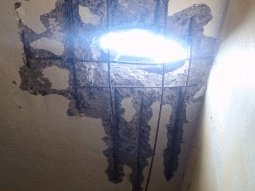 प्लांट एरिया की फोटो।