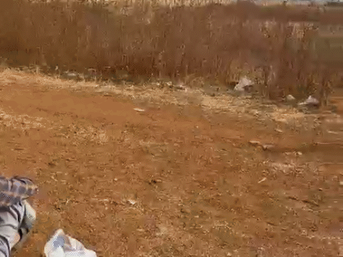 पत्नी ने बॉयफ्रेंड-संग मिलकर पति को मार डाला:  किराए की गाड़ी से बाइक को मारी टक्कर,साथ रहने साजिश रची;1 साल से चल रहा था अफेयर – Chhattisgarh News