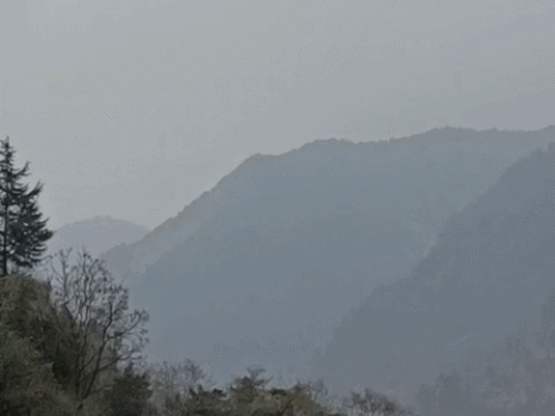 उत्तराखंड की केदारघाटी में बारिश हुई। पिथौरागढ़ में बर्फबारी की संभावना है।