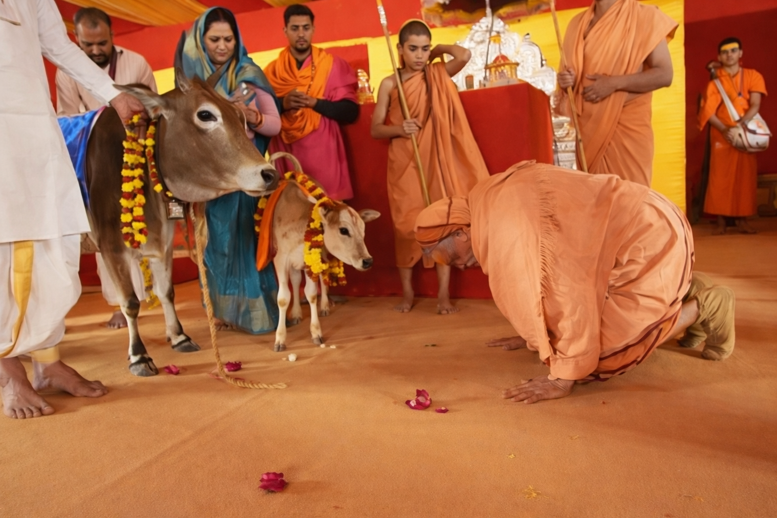 गोमाता को लेकर स्वामी अविमुक्तेश्वरानंद की श्रद्धा दिखती रहती है।