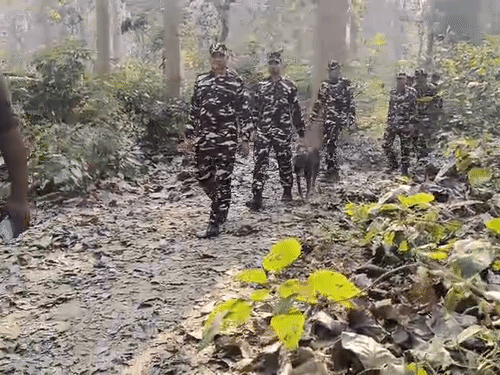 जंगल में महिला का कंकाल मिलने के बाद डॉग स्क्वाड की टीम ने जांच पड़ताल की।