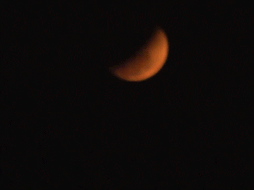 Lunar Eclipse 2026: Temples Close, Mahakaleshwar Holi Celebration