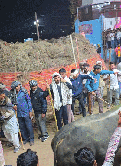 50 हजार से ज्यादा लोग बांके-बिहारी की जय का उद्घोष कर रहे थे। इसी बीच एक सांड आ गया। इसके बाद अफरा-तफरी मच गई।