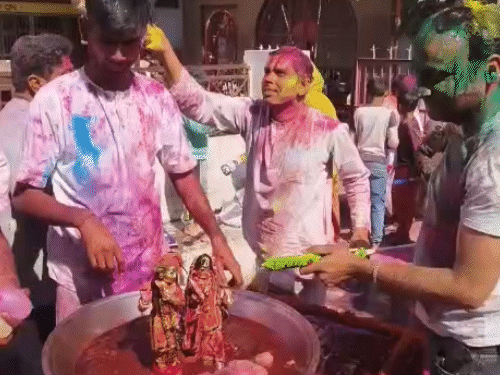 पंचकूला के इस्कॉन मंदिर में भगवान राधा-कृष्ण के साथ होली खेलते भक्त।
