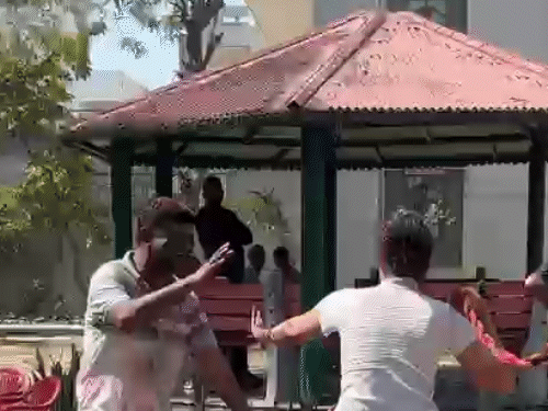 सोनीपत के सेक्टर-15 की एक सोसाइटी में युवती कोरड़ा मार होली खेलते हुई।