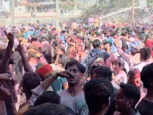 बिलासपुर में होली उत्सव के दौरान डीजे पर थिरकते हुए लोग।