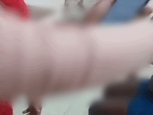 पेमेंट गूगल पे पर लेने के बाद स्क्रीनशॉट्स किसी एजेंट को भेजती विदेशी स्टूडेंट।