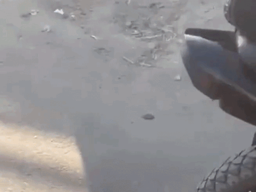 बाइक के आगे और पीछे नंबर प्लेट भी नहीं थी।