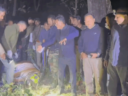 हल्द्वानी में आतंक का पर्याय आदमखोर बाघ पकड़ा गया