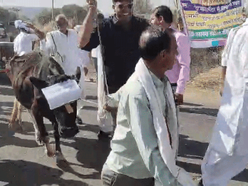 लोग अपने मवेशियों को लेकर पैदल कूच कर रहे हैं।