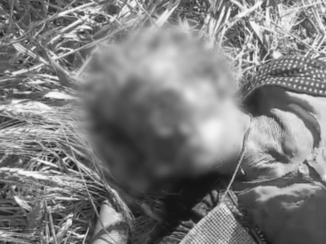 महिला की हत्या के आरोप में उसके पोते को हिरासत में लिया गया है। - Dainik Bhaskar