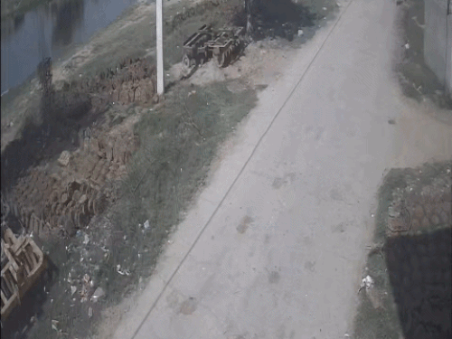 गांव की सड़क से गुजरती स्कॉर्पियो।