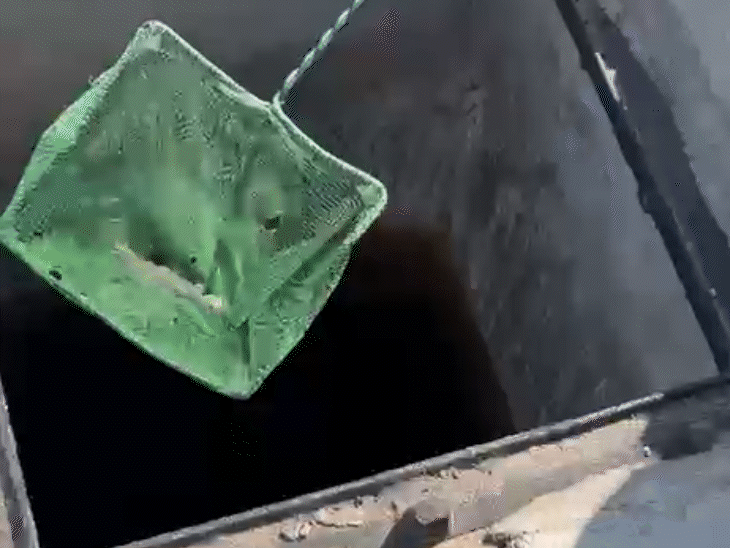 पीएम आवास फेस-एक में बने ब्लॉक ई-52 की पानी की टंकी में ये छिपकलियां मिली हैं।