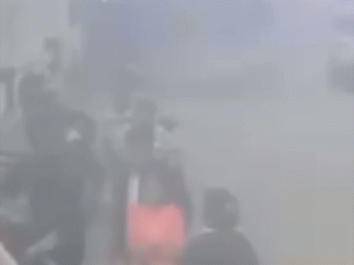 रायपुर में डॉग रेस्क्यू टीम ने गर्भवती को थप्पड़ जड़ा…VIDEO:  टी शर्ट खींची, धक्का दिया, पेट्स की देखभाल को लेकर मारपीट, डॉग-मोबाइल छीन लिए – Chhattisgarh News