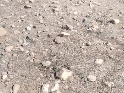 पुरातत्व विभाग को बड़ी संख्या में पाषाणकाल के दौरान बनाए गए औजार मिले हैं।