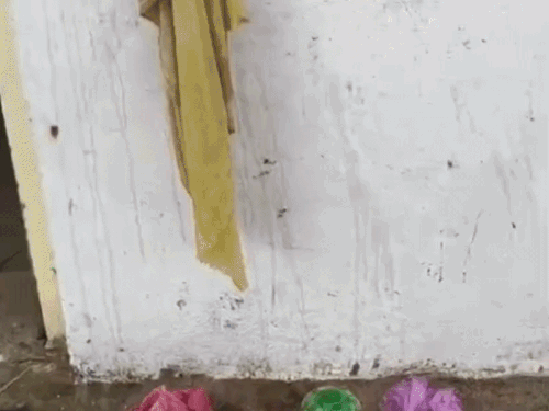 आरोपियों ने पीड़ित के घर पथराव किया।