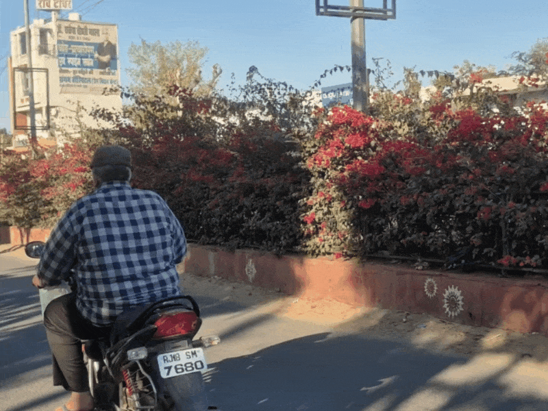 शहर के चुरु बायपास रोड का यह नजारा है जहां पौधे फूल और झाड़ियां रोड के बीच में आ रही है जिससे एक ब्लाइंड स्पॉट बन जाता है