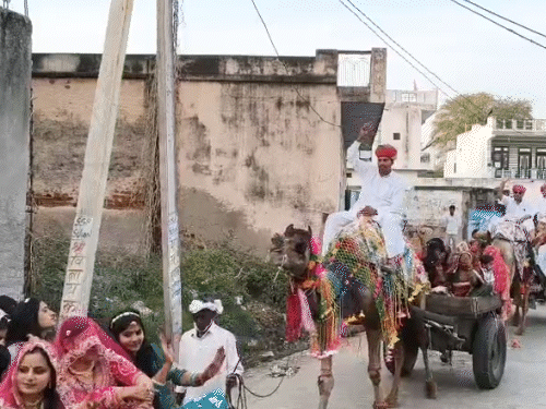 ऊंटगाड़ियों में बैठकर नाचते-गाते बाराती।