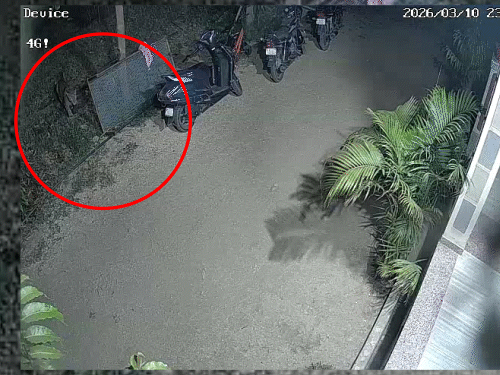 मंगलवार रात करीब 11 बजकर 38 मिनट पर लेपर्ड पूर्व सरपंच प्रवीण सोलंकी के घर के बाहर आया और घात लगाकर बैठ गया।