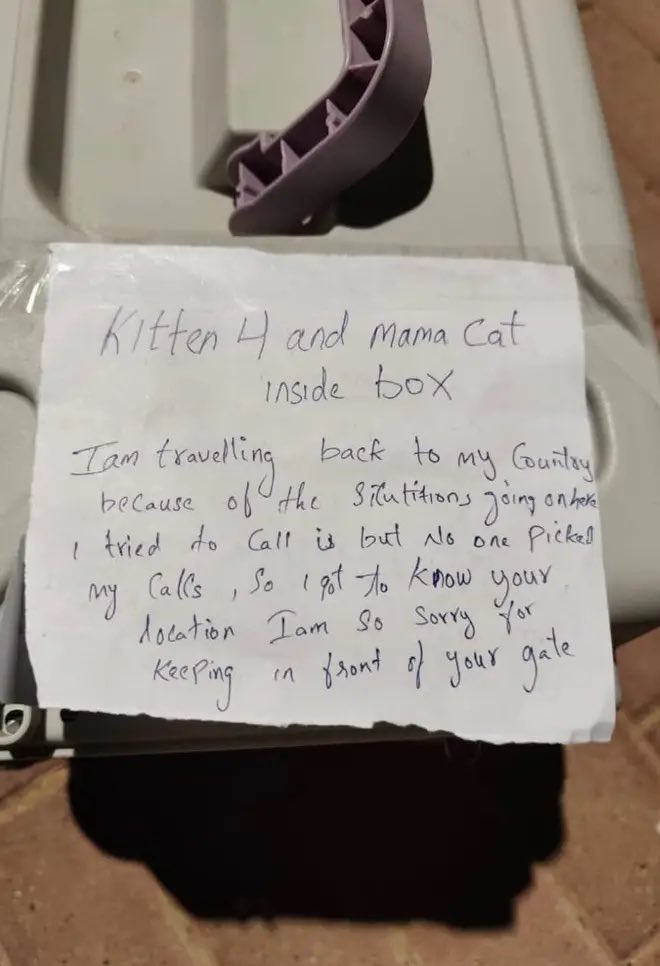 बॉक्स में एक नोट भी था, जिसमें लिखा था- सॉरी, हालात के कारण अपने देश लौट रहा है और जानवरों को साथ नहीं ले जा सकता।