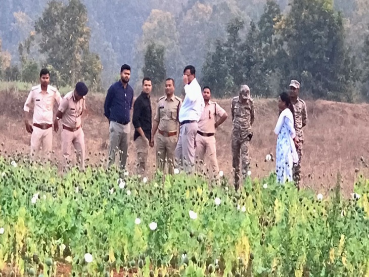 ग्रामीणों की सूचना पर प्रशासनिक टीम मौके पर पहुंचकर जांच की थी।