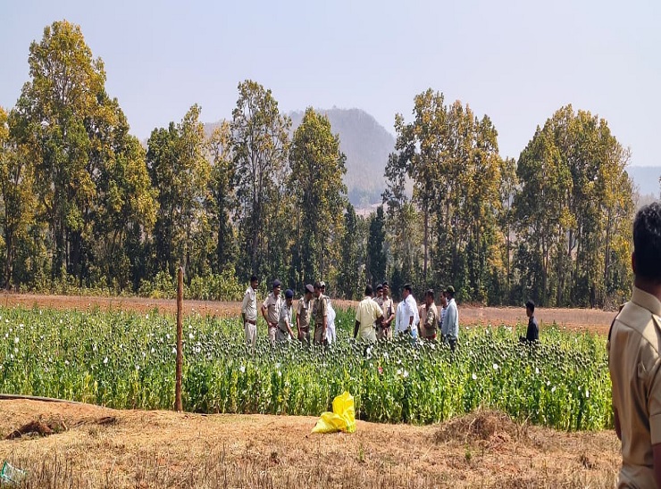 नारकोटिक्स कंट्रोल ब्यूरो (एनसीबी) की टीम अफीम की जांच करने पहुंची।