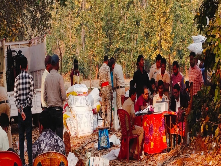 मजिस्ट्रेट आशीष कुमार चंदोहे की मौजूदगी में अफीम की फसल को उखड़वाया गया और उसे जब्त किया गया।