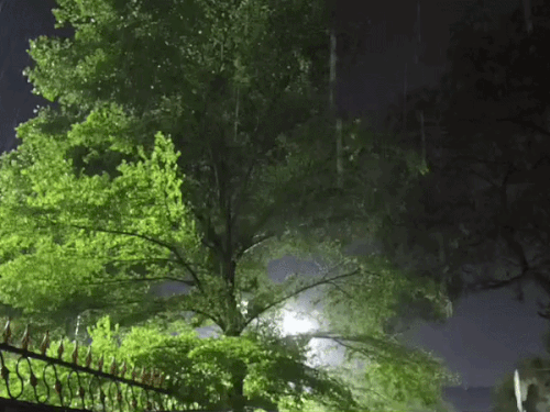 अमृतसर में सुबह बारिश के बीच तेज हवाएं चलीं।