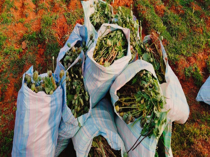 जब्त अफीम की कीमत 2 करोड़ से ज्यादा बताई जा रही है।