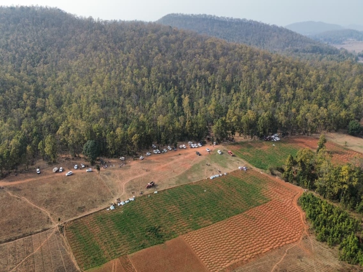 खेत से करीब 350 किलो अफीम जब्त की गई है। जिसकी कीमत करीब 2 करोड़ है।