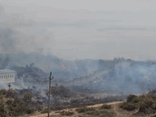 सूखे झाड़-झंखाड़ और छान बांधने वाले झुंडे अधिक होने के कारण आग तेजी से भड़क गई।