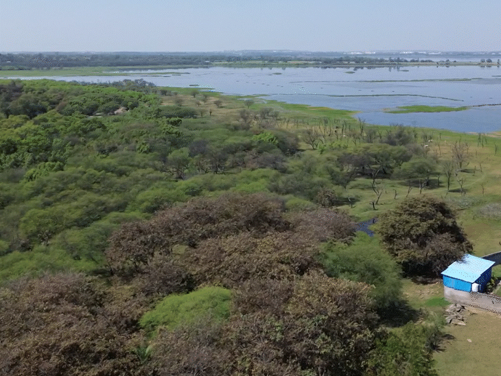 बड़ा तालाब के कैचमेंट एरिया में फार्म हाउस भी बने हैं।