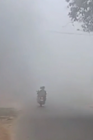 यूपी के देवरिया में सुबह धुंध छाई। यहां विजिबिलिटी 50 मीटर से कम रही।