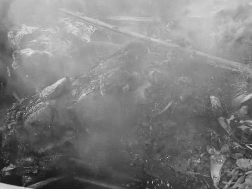 आग इतनी तेज थी कि टाटा सूमो में सो रहा व्यक्ति जिंदा जल गया।