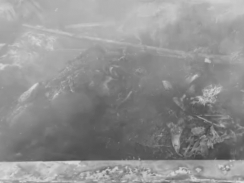 आग लगने के बाद अब सिर्फ गाड़ी का ढांचा ही दिख रहा है।