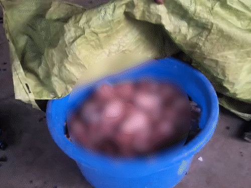 पुलिस ने आरोपियों के घर से 35 किलो मांस जब्त किया है, जिसे जांच के लिए सुरक्षित रखवाया है।