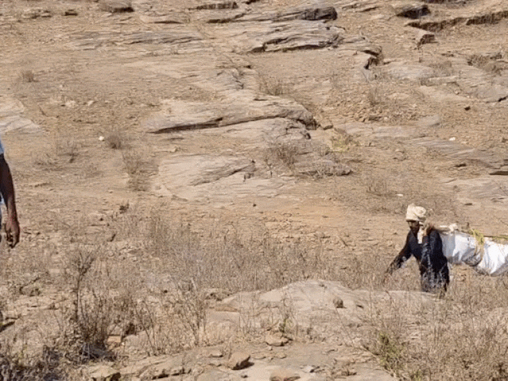 शव को नदी से बाहर निकालकर ले जाते हुए कर्मचारी।