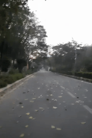 लखनऊ में सुबह-सुबह आंधी चली। सड़कों पर बिछे पेड़ के सूखे पत्तों से पतझड़ जैसा एहसास हुआ। तस्वीर गोमती नगर के इंदिरा गांधी प्रतिष्ठान की है।