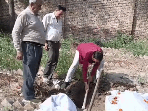 Animal Inhumanity Panipat Baby Fetus Found | Stray Animals, Inhumanity Shock