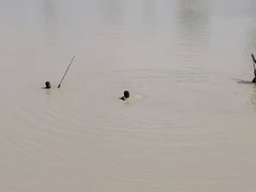 जोहड़ के किनारे पर कपड़े दिखने के बाद ग्रामीणों ने उसमें ढूंढना शुरू किया