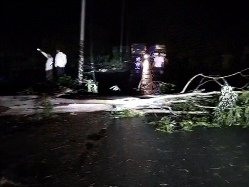 बिजनौर में आंधी से सड़क किनारे लगे पेड़ और होर्डिंग उखड़ गए। कई इलाकों में बिजली कट गई थी।